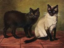 Two Tabbys on a Wall-W. Luker-Framed Stretched Canvas