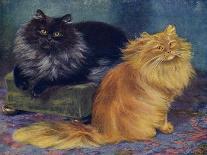 Manx and Siamese Cats-W. Luker-Stretched Canvas