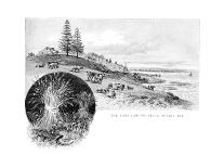 The First Landing Place, Botany Bay, New South Wales, Australia, 1886-W Macleod-Giclee Print