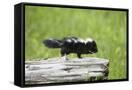 Canvas Black