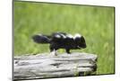Wood Mount