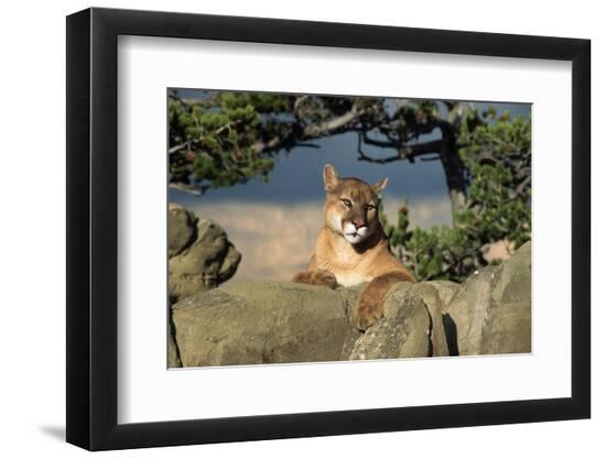 Premium Photographic Print, , large