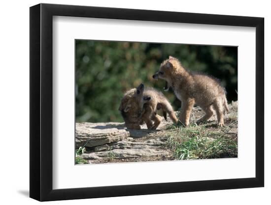Premium Photographic Print, , large