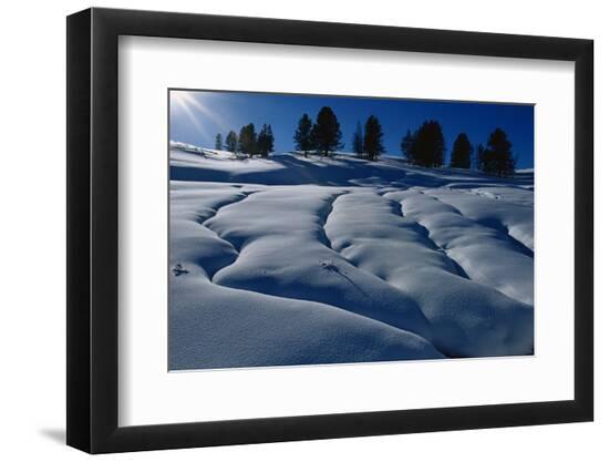 Premium Photographic Print, , large