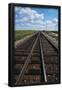 Essential Black