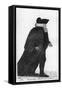 W. Robertson, John Kay-John Kay-Framed Stretched Canvas