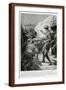 Brown Frame