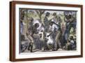 Brown Frame
