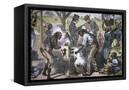 Canvas Black