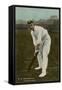 W. W. Armstrong, Cricket Player from Australia-null-Framed Stretched Canvas