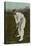 W. W. Armstrong, Cricket Player from Australia-null-Stretched Canvas