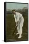 W. W. Armstrong, Cricket Player from Australia-null-Framed Stretched Canvas