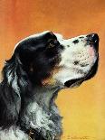 "Springer Spaniel," Saturday Evening Post Cover, November 16, 1940-W.W. Calvert-Giclee Print