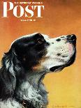 "Gordon Setter," Saturday Evening Post Cover, October 17, 1942-W.W. Calvert-Framed Giclee Print