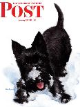 "Gordon Setter," Saturday Evening Post Cover, October 17, 1942-W.W. Calvert-Giclee Print