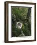 WA. Anna's Hummingbird nest with two coffee-bean-sized eggs on a tree branch-Gary Luhm-Framed Photographic Print