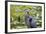 Wa, Juanita Bay Wetland, Great Blue Heron, Ardea Herodias-Jamie And Judy Wild-Framed Photographic Print