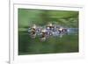 Wa, Mercer Slough, Wood Duck Ducklings, Aix Slonsa-Jamie And Judy Wild-Framed Photographic Print