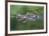 Wa, Mercer Slough, Wood Duck Ducklings, Aix Slonsa-Jamie And Judy Wild-Framed Photographic Print