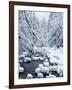 WA, Mount Baker-Snoqualmie National Forest, Cascade Mountains, Denny Creek with fresh snow-Jamie & Judy Wild-Framed Photographic Print