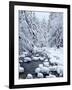 WA, Mount Baker-Snoqualmie National Forest, Cascade Mountains, Denny Creek with fresh snow-Jamie & Judy Wild-Framed Photographic Print
