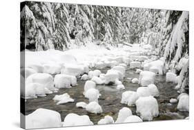 WA, Mount Baker Snoqualmie National Forest, South Fork Snoqualmie River-Jamie & Judy Wild-Stretched Canvas