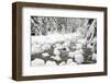 WA, Mount Baker Snoqualmie National Forest, South Fork Snoqualmie River-Jamie & Judy Wild-Framed Photographic Print