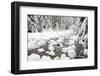 WA, Mount Baker Snoqualmie National Forest, South Fork Snoqualmie River-Jamie & Judy Wild-Framed Photographic Print