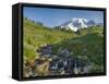 Wa, Mount Rainier National Park, Mount Rainier and Edith Creek-Jamie And Judy Wild-Framed Stretched Canvas