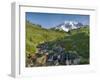 Wa, Mount Rainier National Park, Mount Rainier and Edith Creek-Jamie And Judy Wild-Framed Photographic Print