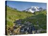 Wa, Mount Rainier National Park, Mount Rainier and Edith Creek-Jamie And Judy Wild-Stretched Canvas