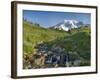 Wa, Mount Rainier National Park, Mount Rainier and Edith Creek-Jamie And Judy Wild-Framed Photographic Print