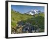 Wa, Mount Rainier National Park, Mount Rainier and Edith Creek-Jamie And Judy Wild-Framed Photographic Print