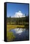 Wa, Mount Rainier National Park, Mount Rainier Reflected in Reflection Lake-Jamie And Judy Wild-Framed Stretched Canvas