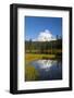 Wa, Mount Rainier National Park, Mount Rainier Reflected in Reflection Lake-Jamie And Judy Wild-Framed Photographic Print