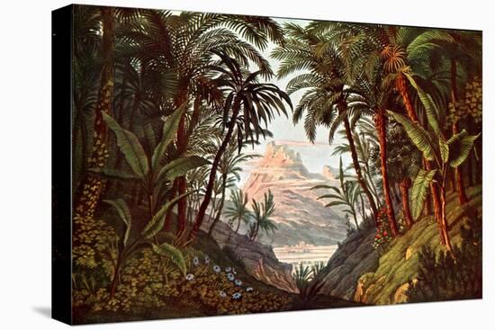 WA Mozart's 'Magic Flute'-Karl Friedrich Schinkel-Stretched Canvas