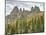 WA, Okanogan-Wenatchee NF. Liberty Bell Mtn, Concord and Lexington Towers, Early Winters Spires-Jamie & Judy Wild-Mounted Photographic Print