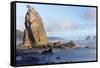 Wa, Olympic National Park, Rialto Beach, Seastack-Jamie And Judy Wild-Framed Stretched Canvas