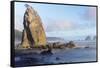 Wa, Olympic National Park, Rialto Beach, Seastack-Jamie And Judy Wild-Framed Stretched Canvas