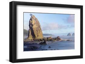 Wa, Olympic National Park, Rialto Beach, Seastack-Jamie And Judy Wild-Framed Photographic Print