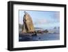 Wa, Olympic National Park, Rialto Beach, Seastack-Jamie And Judy Wild-Framed Photographic Print