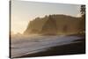 Wa, Olympic National Park, Sea Stacks at Sunset, Rialto Beach-Jamie And Judy Wild-Stretched Canvas