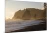Wa, Olympic National Park, Sea Stacks at Sunset, Rialto Beach-Jamie And Judy Wild-Mounted Photographic Print