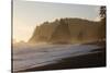 Wa, Olympic National Park, Sea Stacks at Sunset, Rialto Beach-Jamie And Judy Wild-Stretched Canvas