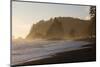 Wa, Olympic National Park, Sea Stacks at Sunset, Rialto Beach-Jamie And Judy Wild-Mounted Photographic Print