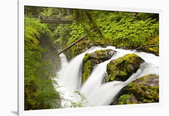 Wa, Olympic National Park, Sol Duc Falls-Jamie And Judy Wild-Framed Photographic Print
