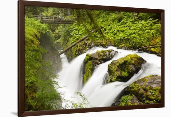 Wa, Olympic National Park, Sol Duc Falls-Jamie And Judy Wild-Framed Photographic Print