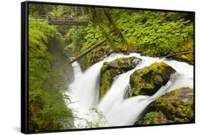 Wa, Olympic National Park, Sol Duc Falls-Jamie And Judy Wild-Framed Stretched Canvas