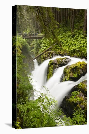 Wa, Olympic National Park, Sol Duc Falls-Jamie And Judy Wild-Stretched Canvas