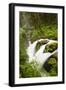 Wa, Olympic National Park, Sol Duc Falls-Jamie And Judy Wild-Framed Photographic Print